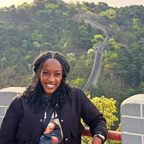 MeGreatWall